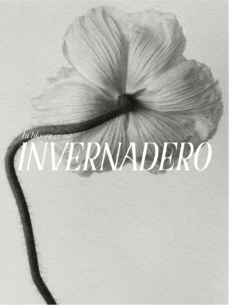 Invernadero